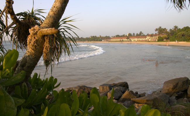 galle (1)