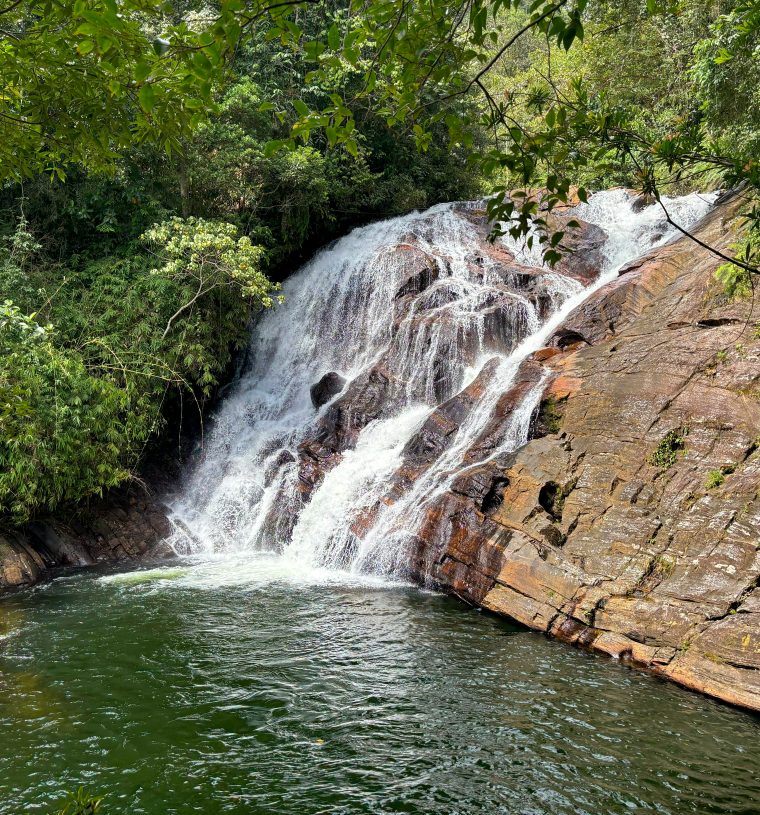 sinharaja (5)